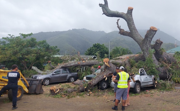 Un arbre s'effondre sur trois voitures à Paea