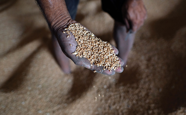 La reprise des exportations de céréales d'Ukraine est "une question de vie ou de mort", affirme Borrell