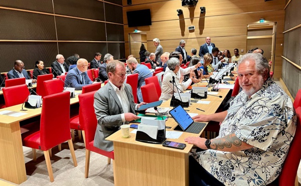 Moetai Brotherson préside les Outre-mer à l’Assemblée nationale