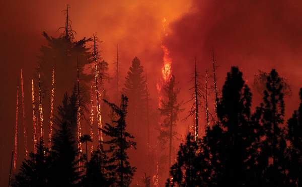 Un incendie géant se propage à toute allure en Californie