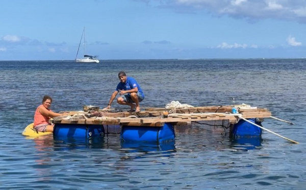 Des cages à poissons durables en phase de test