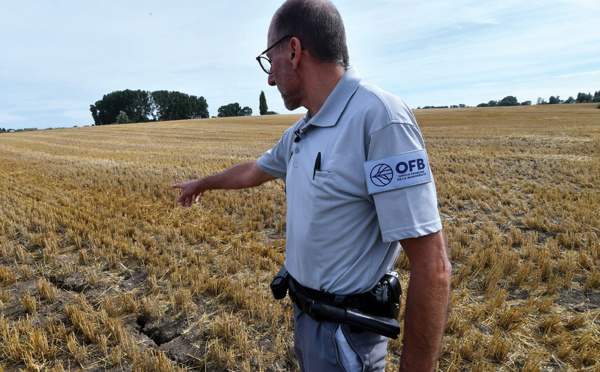 Nouvelle vague de chaleur en France, entièrement touchée par la sécheresse