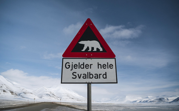 Une touriste française blessée par un ours blanc au Svalbard