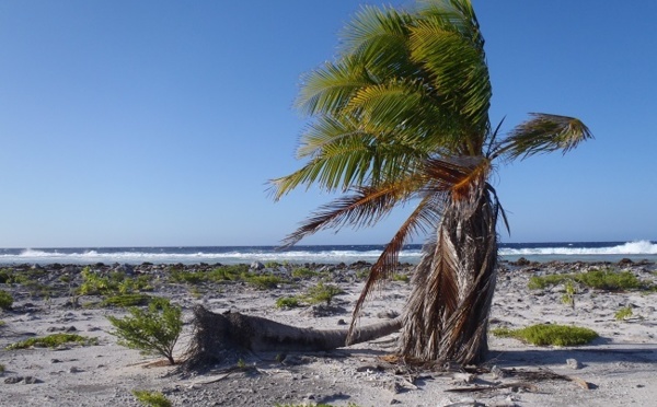 Un naufragé sur l’atoll de Toau récupéré par le MRCC