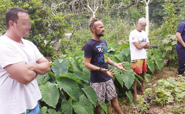 La permaculture en prison, une autre façon de voir le futur