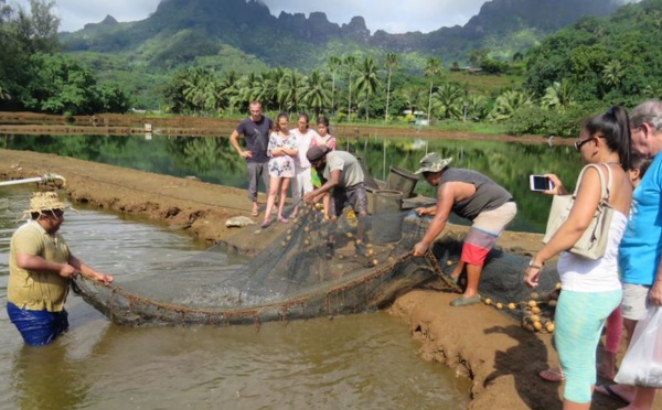 ​Un séminaire pour l'aquaculture