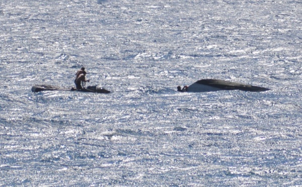 Un poti marara se renverse à Papenoo