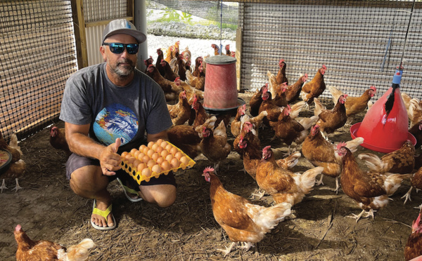 À Arutua, des poules, des arbres... et de l'audace