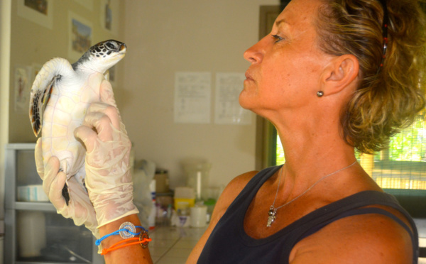 Cécile Gaspar, la bonne fée des tortues