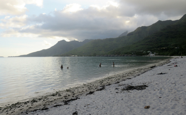  PGEM de Moorea : les associations satisfaites, mais...