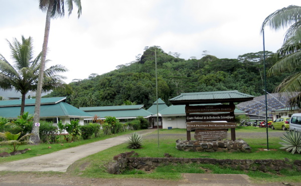 Le Criobe de Moorea bientôt hub scientifique international