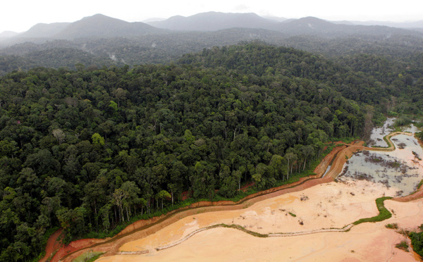 L’exceptionnelle biodiversité de la Guyane menacée par le changement climatique