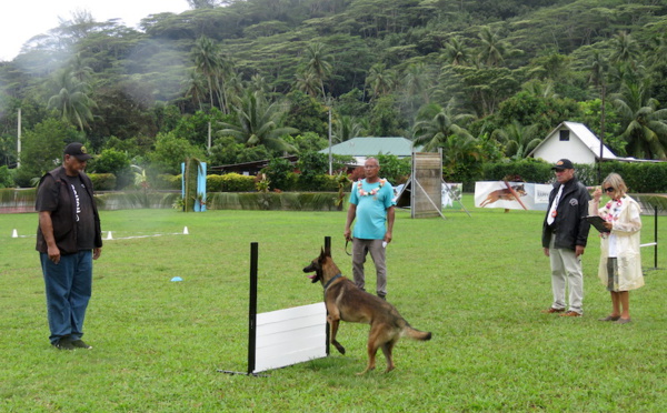 Des maîtres-chiens d’excellence à Moorea