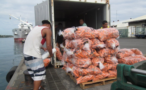 1er arrivage de carottes à Motu uta : 35 tonnes sur 600 prévues dans les bacs