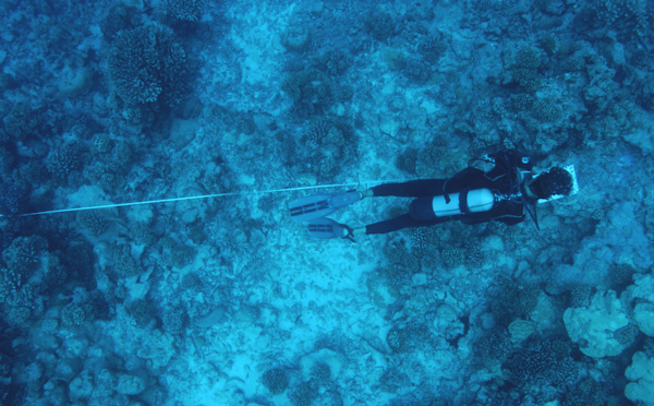 Le milieu coralien de Nuku Hiva “très stable”