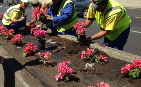 Un arsenal répressif contre les voleurs de fleurs publiques