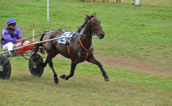 Hippisme: Tez a Secret, vers une troisième victoire? 