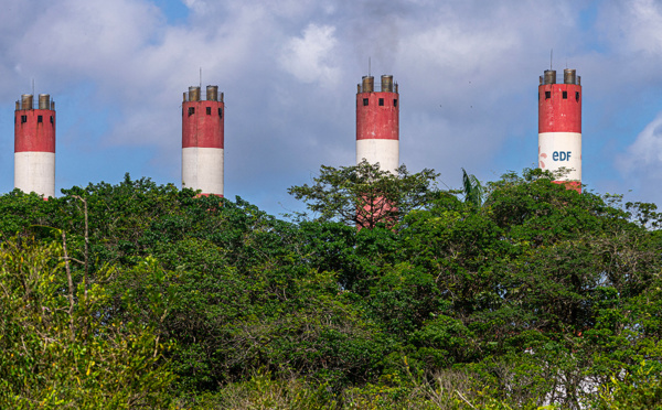 Guyane: polémique autour d'un projet de décret dérogatoire sur la biomasse
