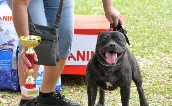 5ème Exposition Canine Toutes Races samedi 4 octobre