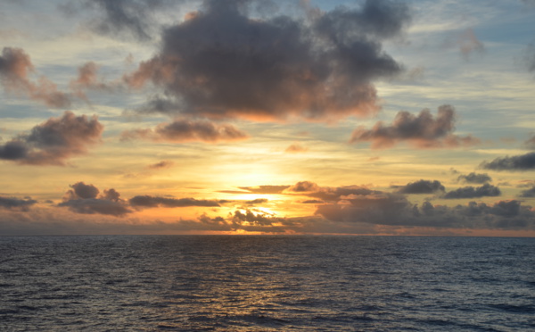 Aux Australes, le vœu d'une aire marine protégée