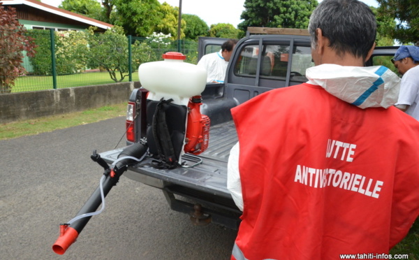 Chikungunya : le programme des pulvérisations de la semaine