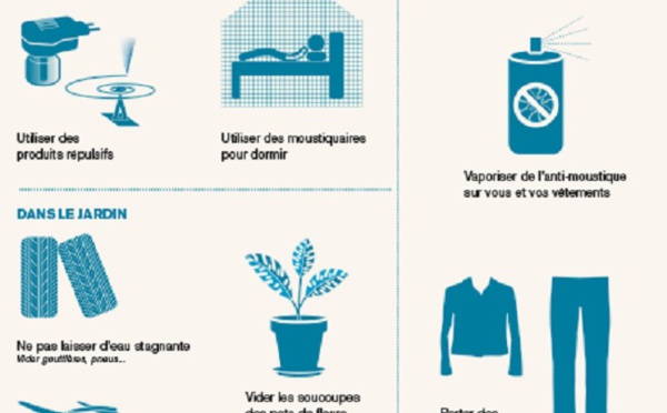 Chikungunya : la lutte contre les moustiques est une responsabilité pour tous