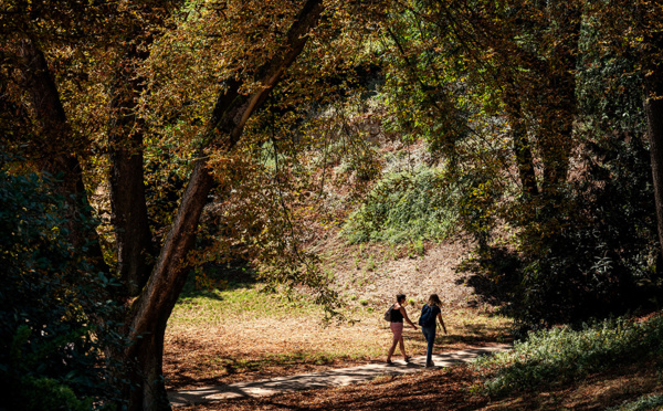 Le corps de la femme retrouvée démembrée aux Buttes-Chaumont identifié