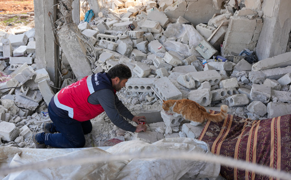 Séisme en Turquie et en Syrie: plus de 50.000 morts