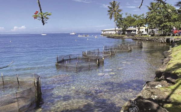 Échange sur l'aquaculture à Vairao