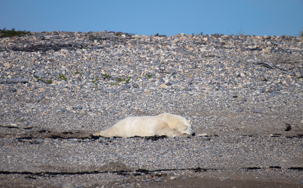 Climat: la feuille de route du Giec vers un futur "vivable"