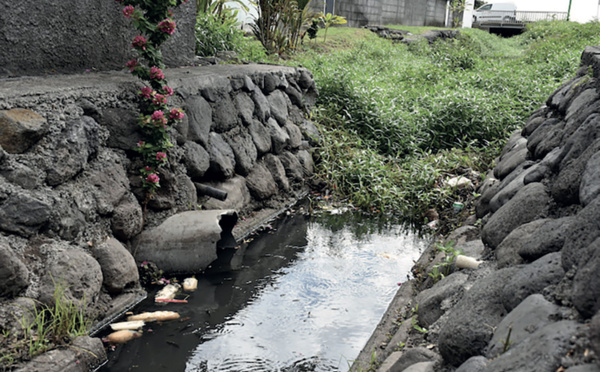 À Paea, la pollution de Tiapa coule entre les tribunaux