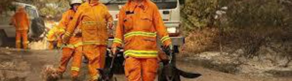 Feux de forêt en Australie: les pompiers dans une course contre la montre