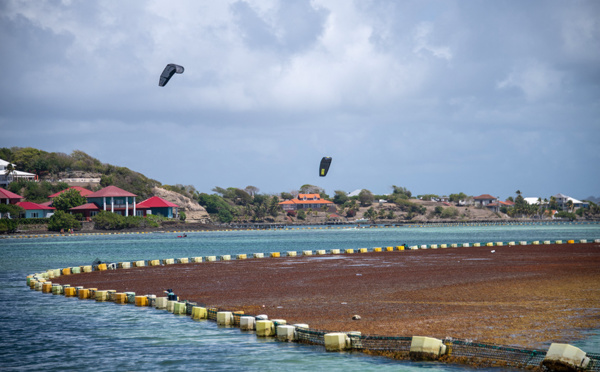 La Guadeloupe expérimente les barrages flottants face aux sargasses