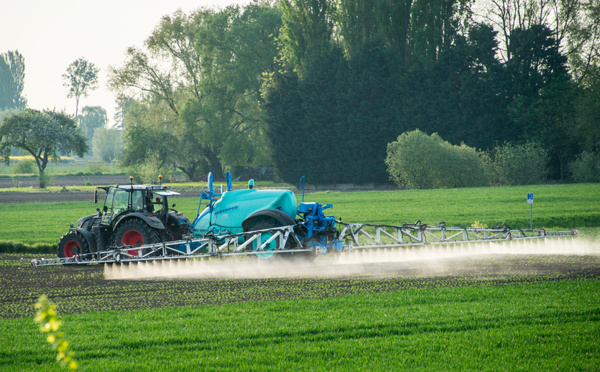 Biodiversité: l'Etat condamné sur l'utilisation des pesticides dans une décision "historique"