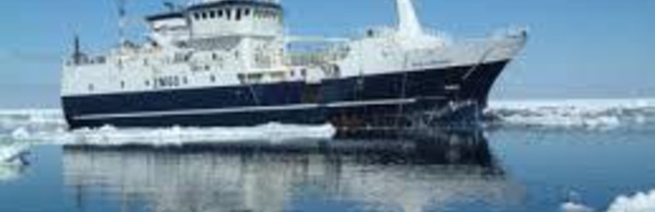 Un brise-glace américain au secours d'un bateau australien dans l'Antarctique