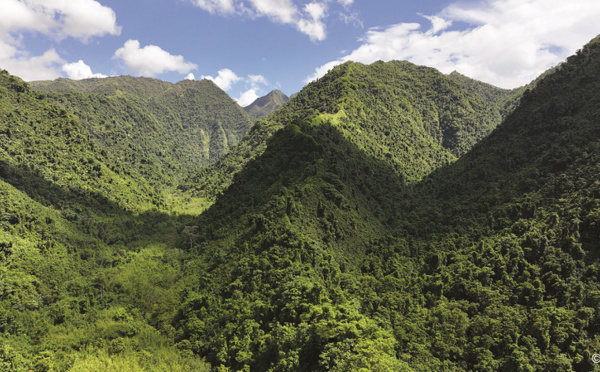 Conférence : ‘Aoa au secours des forêts polynésiennes