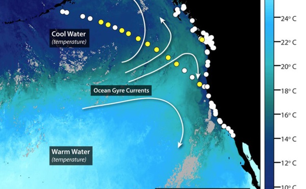 Traces de radioactivité dans le Pacifique canadien liées à Fukushima