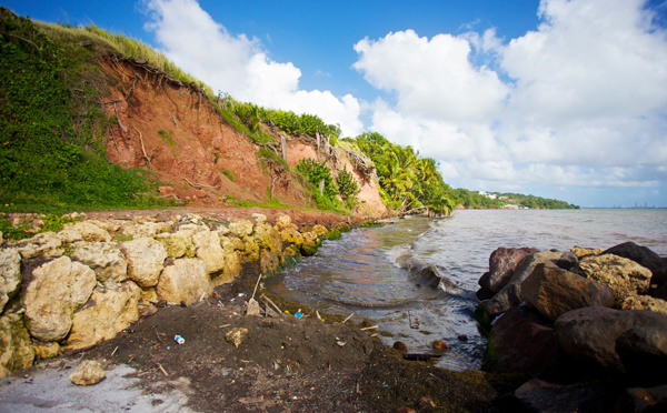 En Guadeloupe, des solutions fondées sur la nature pour réduire l'érosion des côtes