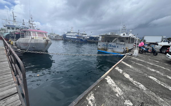 Port de pêche de Papeete : Une gestion “structurellement déficitaire”