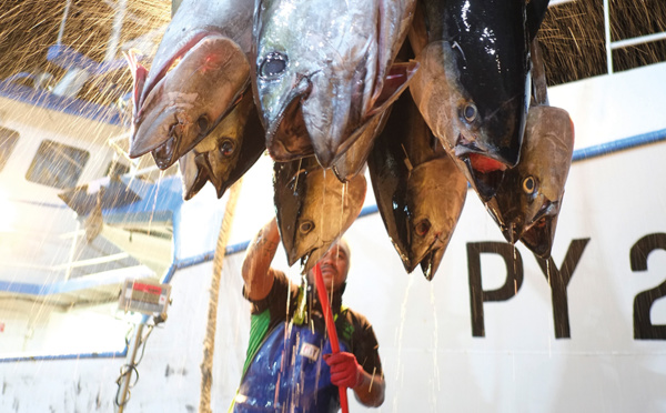 ​L’urgence d’un cadre clair pour les marins pêcheurs