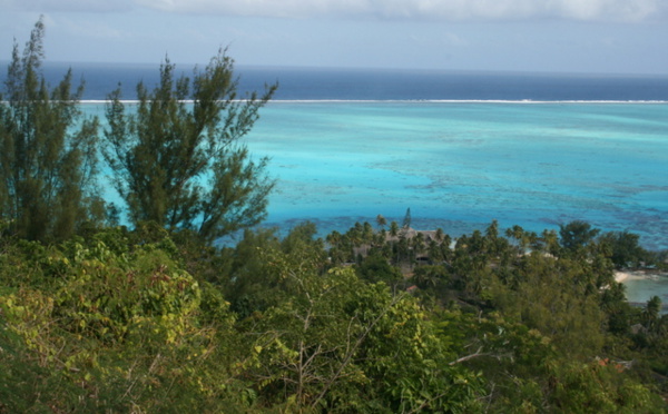 A Bora Bora, l'eau douce devient rare et aussi précieuse que son lagon