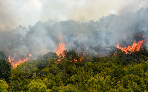 Deux semaines après les premiers feux, la Macédoine du Nord continue de brûler