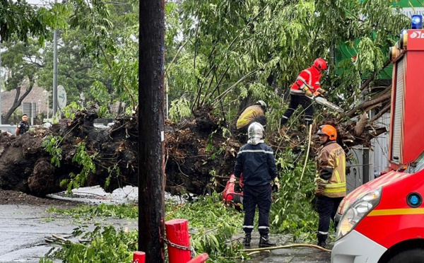 Un mort suite à la chute d'un arbre sur une voiture à Paofai