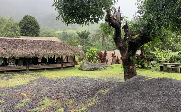  Au cœur de la Papeno'o, le ra'au tahiti et les tradi-praticiens continuent à séduire