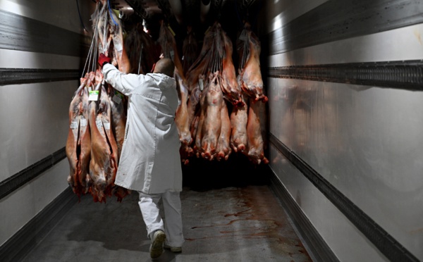 L’abattoir haché menu par la CTC