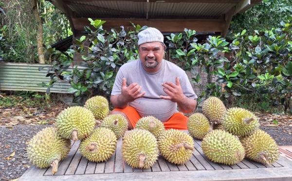 Les durians sont de retour à Papeari