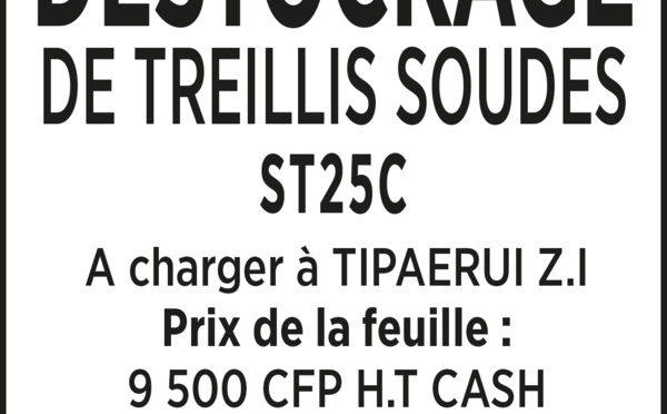 DESTOCKAGE DE TREILLIS SOUDES ST25C A TIPAERUI