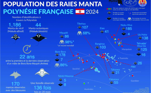 ​La raie manta à l’honneur