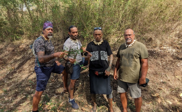 La sensitive géante inquiète à Nuku Hiva