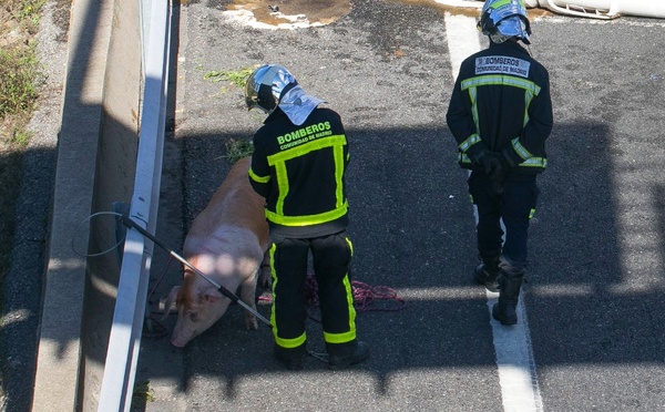 Dix morts et deux blessés graves dans l'incendie d'une maison de retraite en Espagne